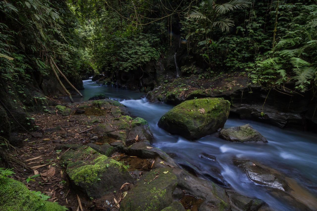 ホテルBali Eco Adventure And Retreat Center テガララン エクステリア 写真