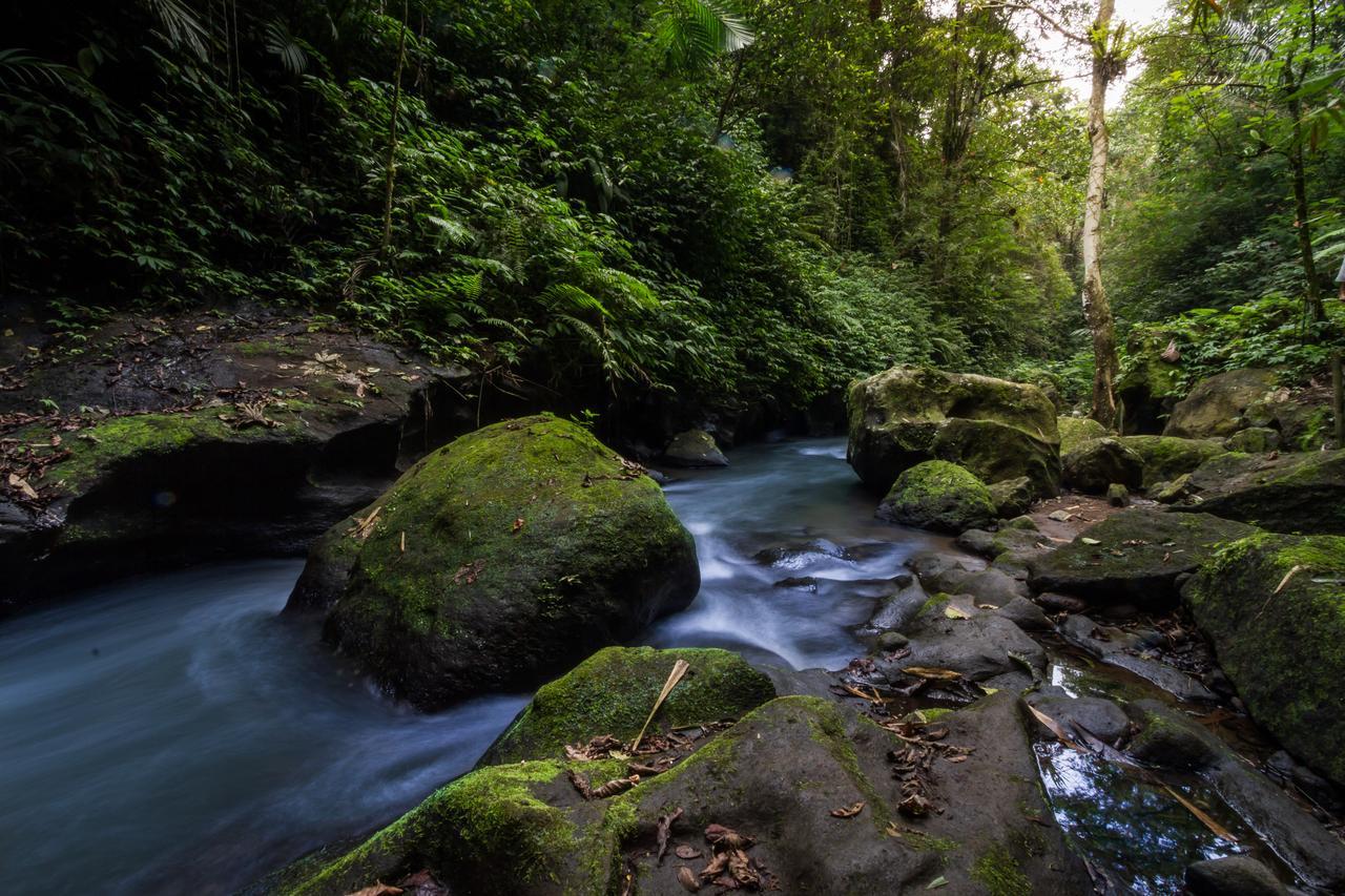 ホテルBali Eco Adventure And Retreat Center テガララン エクステリア 写真