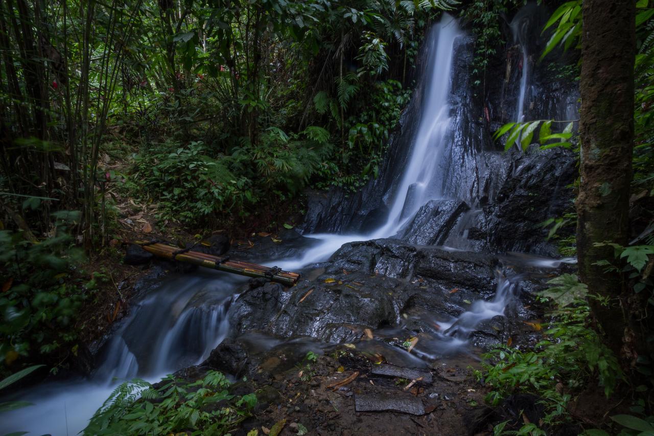 ホテルBali Eco Adventure And Retreat Center テガララン エクステリア 写真